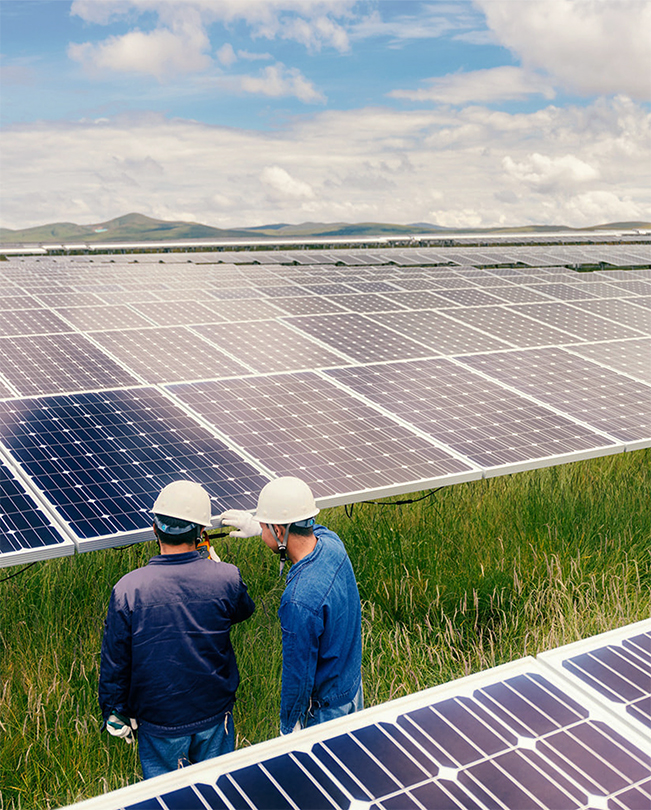 Zwei Personen mit Schutzhelmen arbeiten draussen zwischen Solarpanelen, die von Gras umgeben sind.