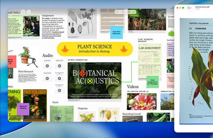 Um quadro Freeform sobre ciências das plantas no Mac, organizado com áudio, vídeos e pesquisa, ao lado de uma janela do Preview com um PDF, demonstrando uma produtividade simples e eficaz